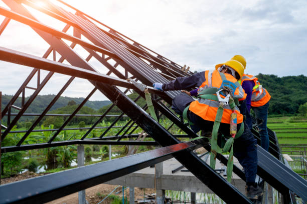 Best Storm Damage Roof Repair  in Troy, AL